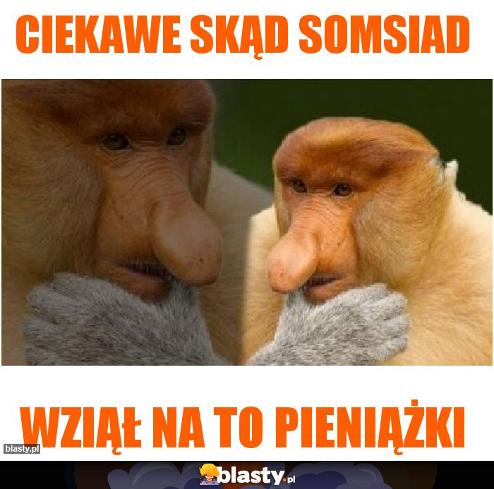 Ciekawe skąd somsiad