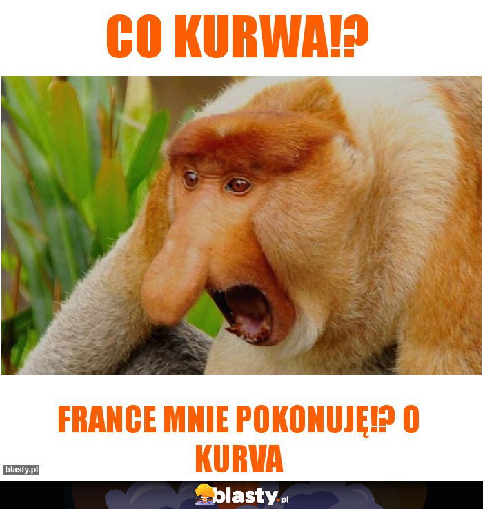 CO KURWA!?