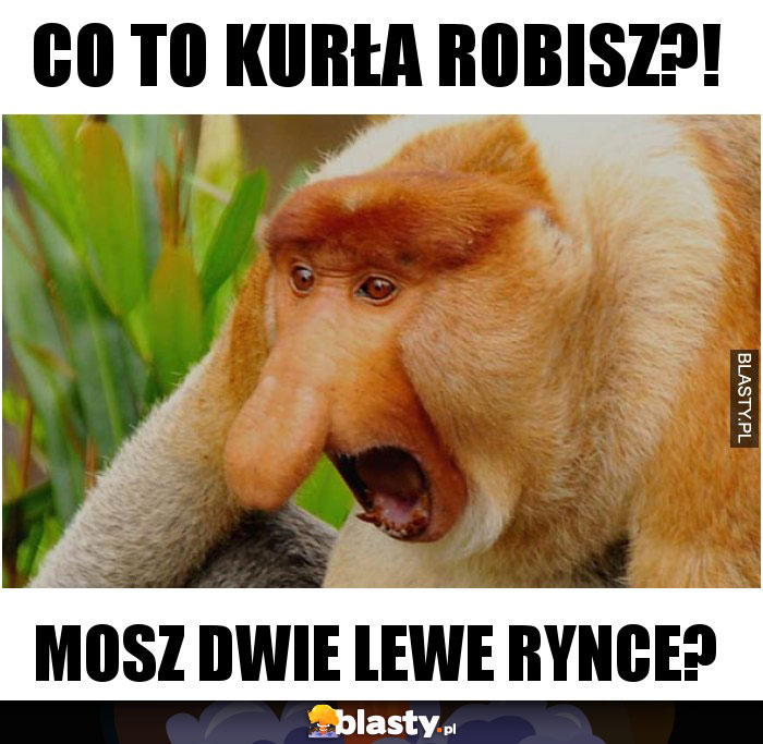 co to kurła robisz?!