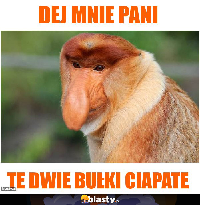 Dej mnie pani