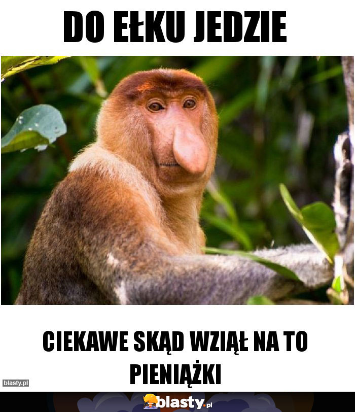 Do Ełku jedzie