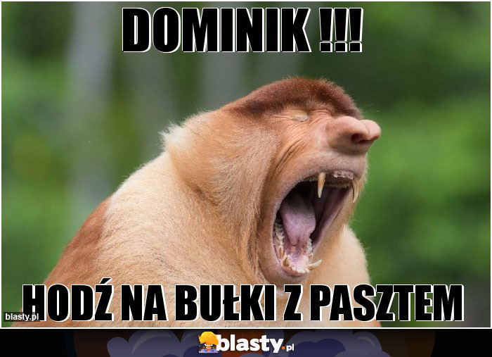 DOMINIK !!!