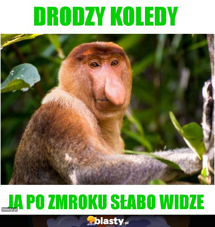 Drodzy koledy