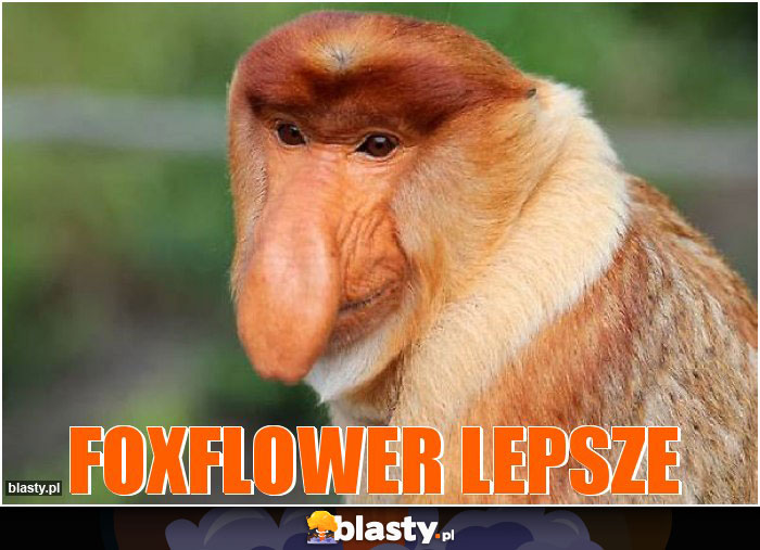 Foxflower lepsze