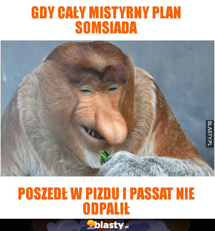 Gdy cały mistyrny plan somsiada