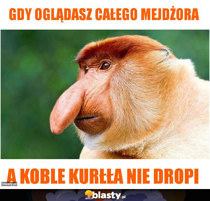 Gdy oglądasz całego mejdżora