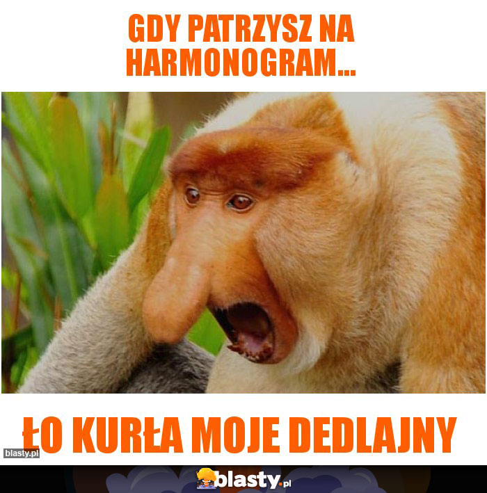 GDY PAtrzysz na harmonogram...