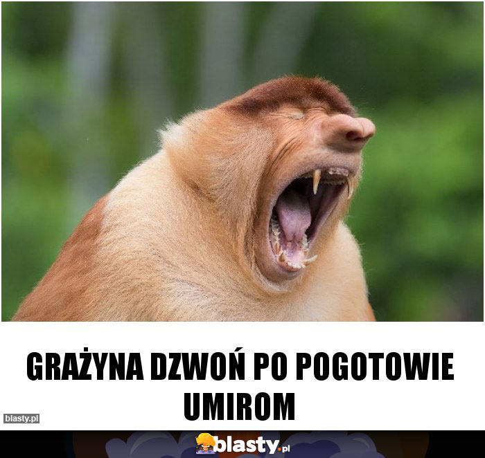 Grażyna dzwoń po pogotowie umirom