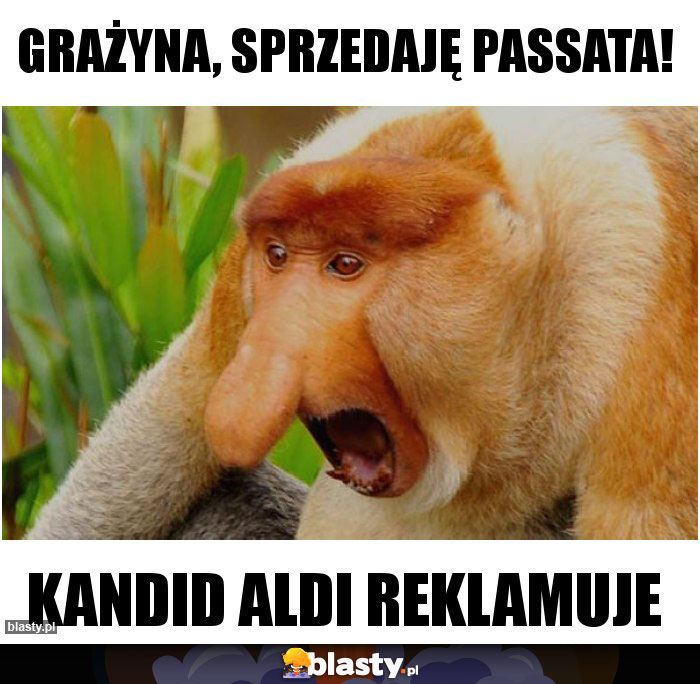 Grażyna, sprzedaję passata!