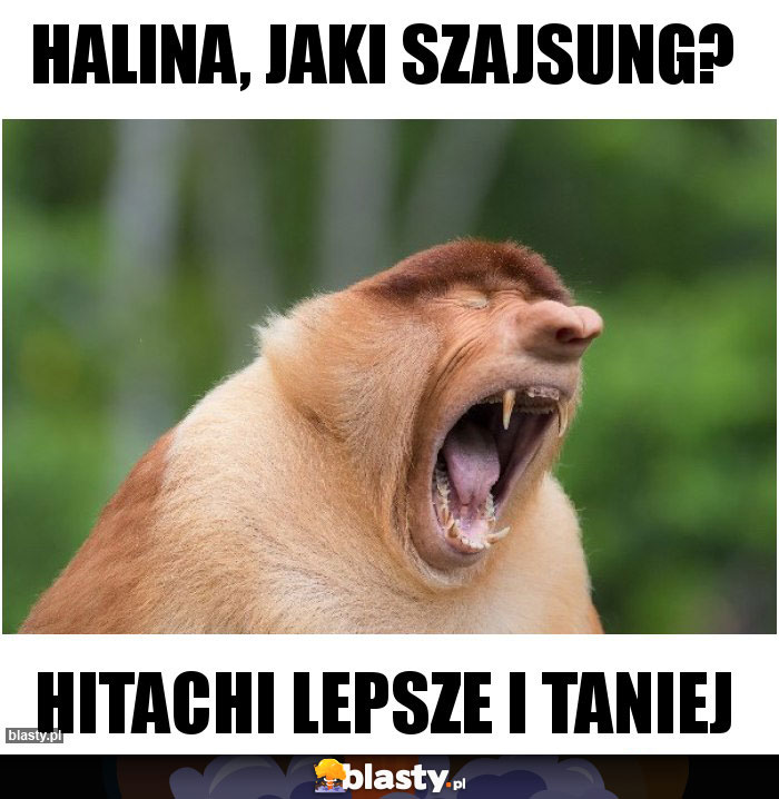 Halina, Jaki szajsung?