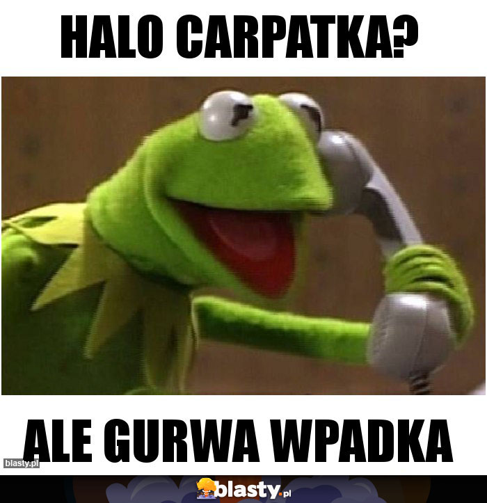 Halo Carpatka?