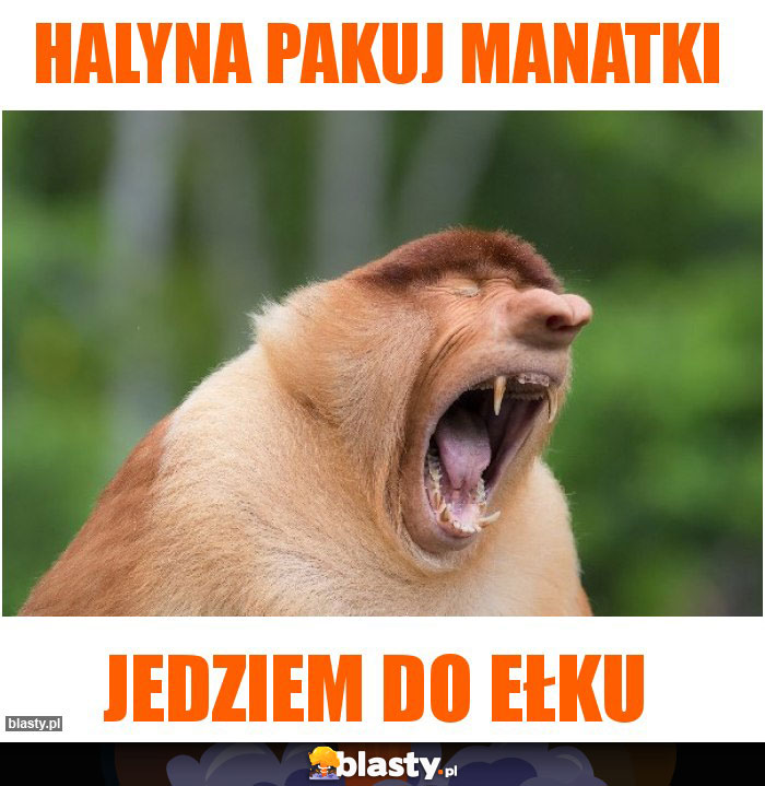 HALYNA PAKUJ MANATKI