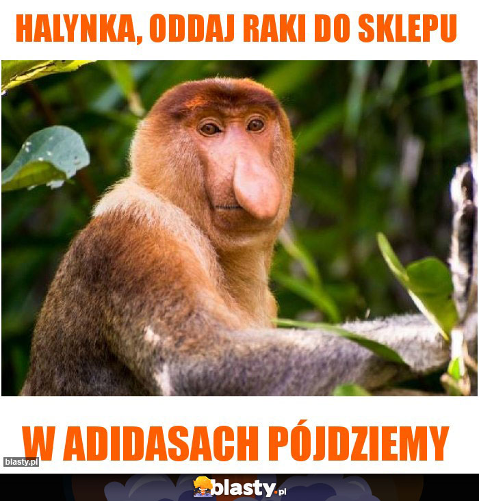 Halynka, oddaj raki do sklepu