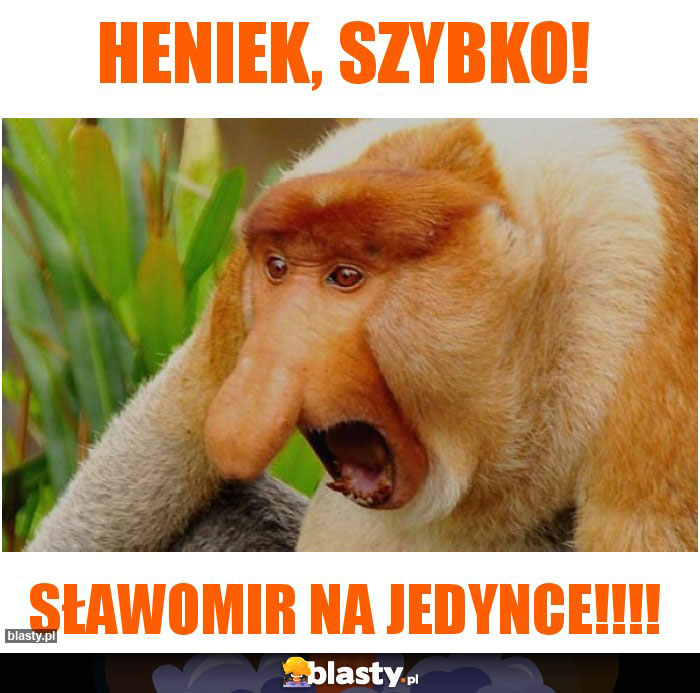 Heniek, szybko!