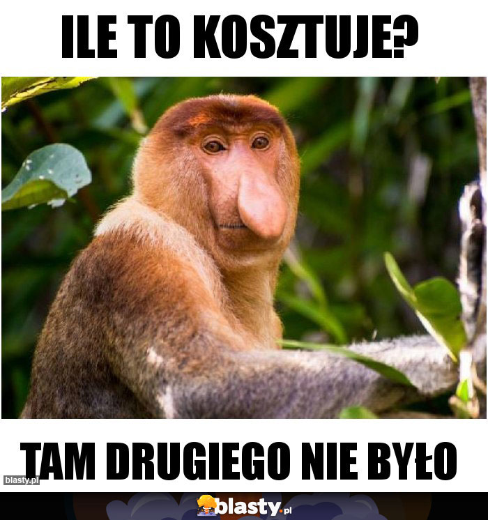 ILE TO KOSZTUJE?