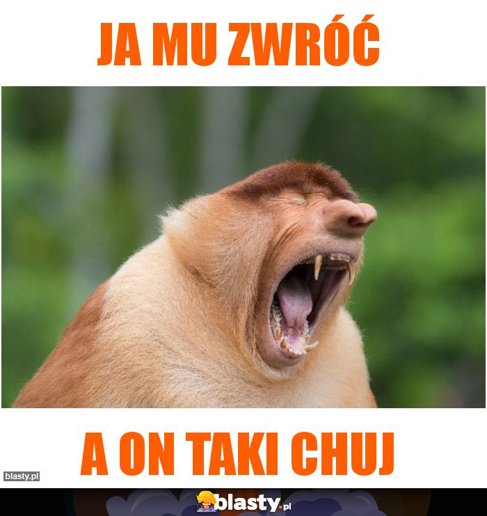 Ja mu zwróć