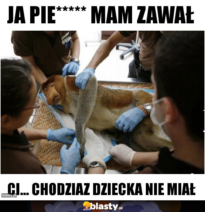 Ja pie***** mam zawał