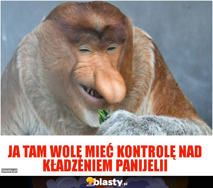 JA TAM WOLĘ MIEĆ KONTROLĘ NAD KŁADZENIEM PANIJELII