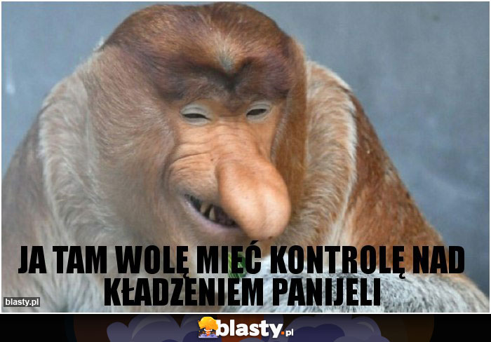 JA TAM WOLĘ MIEĆ KONTROLĘ NAD KŁADZENIEM PANIJELI