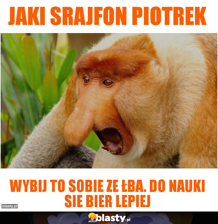 Jaki srajfon piotrek