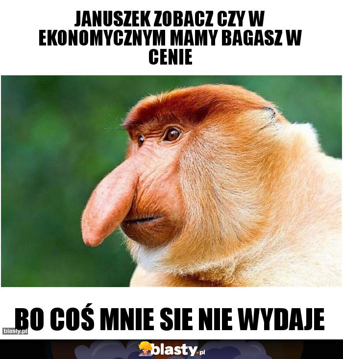 JANUSZEK ZOBACZ CZY W EKONOMYCZNYM MAMY BAGASZ W CENIE