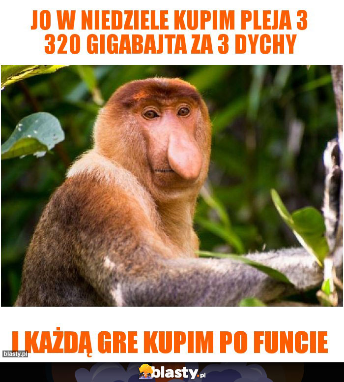 Jo w niedziele kupim pleja 3 320 gigabajta za 3 dychy