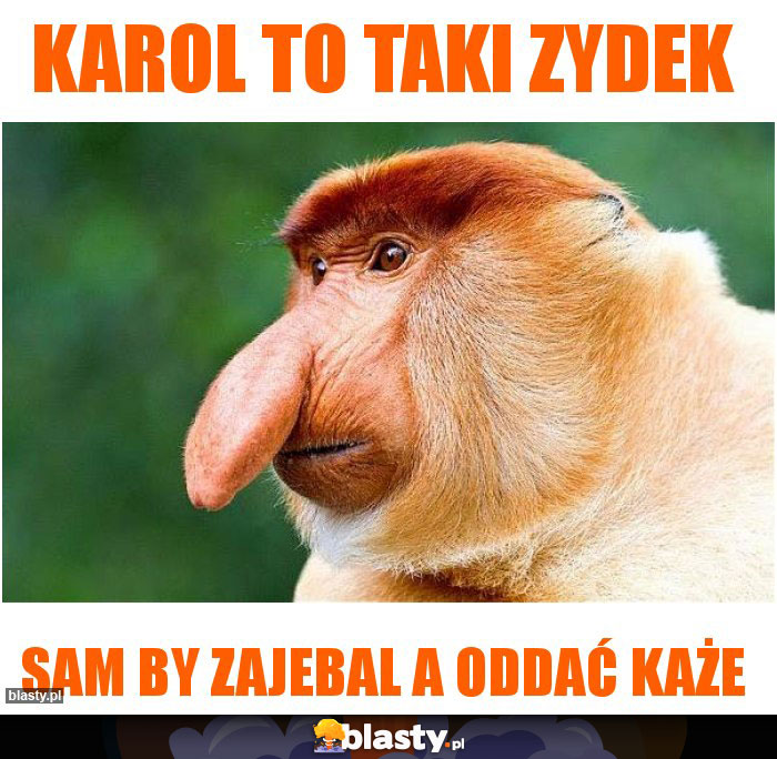 Karol to taki zydek