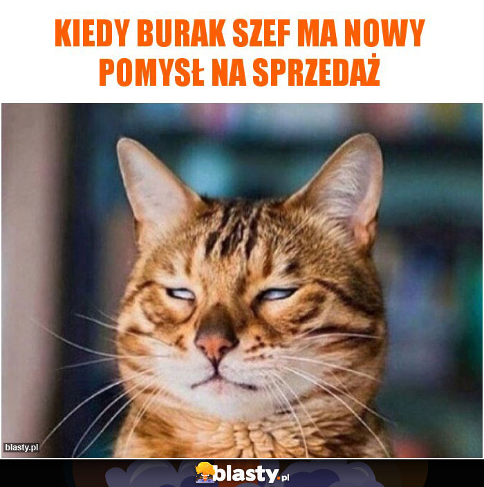 Kiedy burak szef ma nowy pomysł na sprzedaż