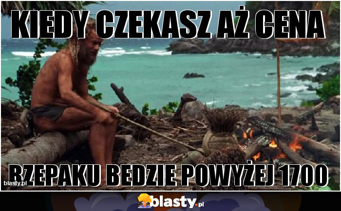 Kiedy czekasz aż cena