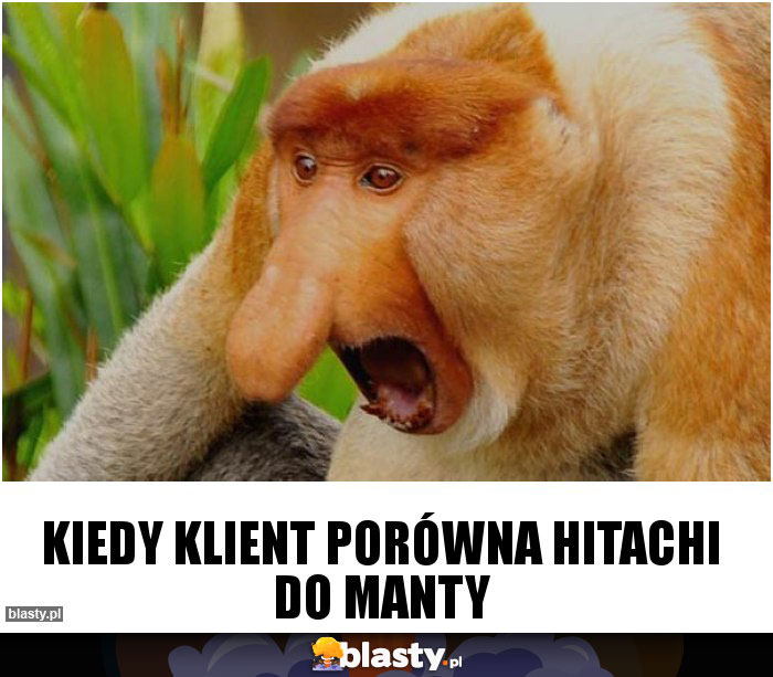 Kiedy klient porówna Hitachi do manty