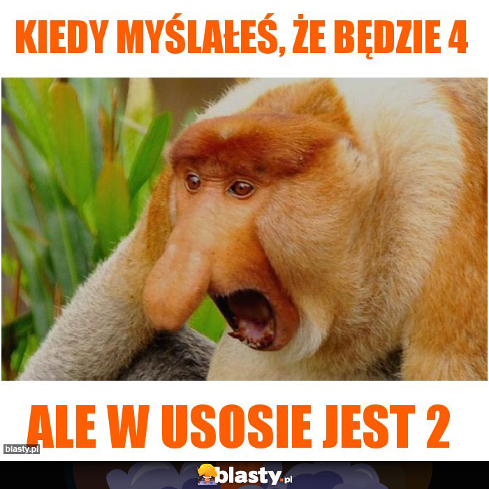 Kiedy myślałeś, że będzie 4