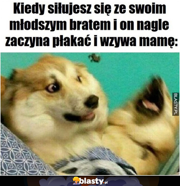 Kiedy siłujesz się ze swoim młodszym bratem