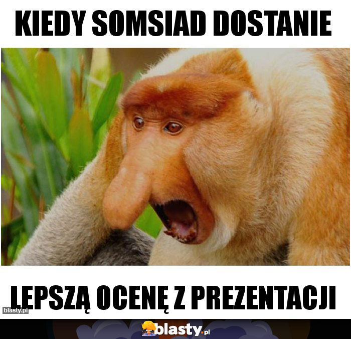 KIEDY SOMSIAD DOSTANIE