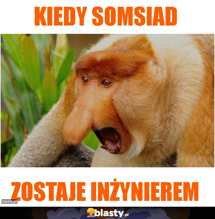 Kiedy somsiad