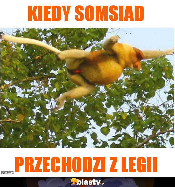 kiedy somsiad