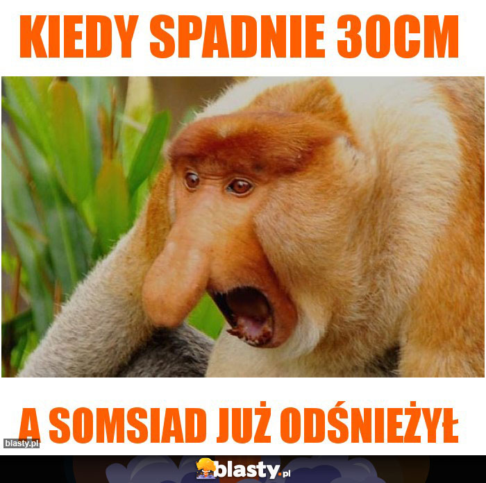 Kiedy spadnie 30cm