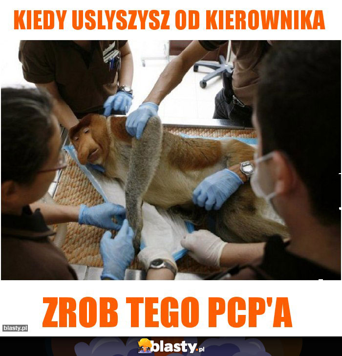 kiedy uslyszysz od kierownika