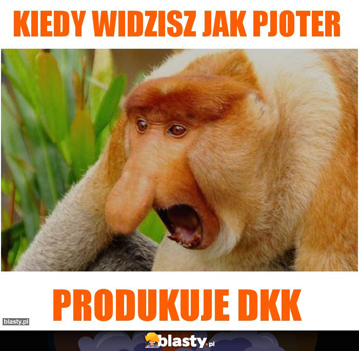 KIEDY WIDZISZ JAK PJOTER