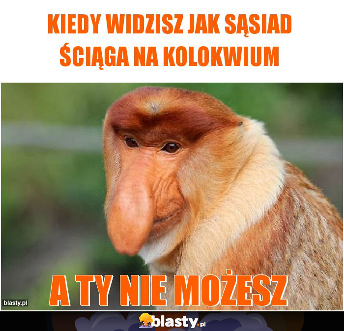 Kiedy widzisz jak sąsiad ściąga na kolokwium