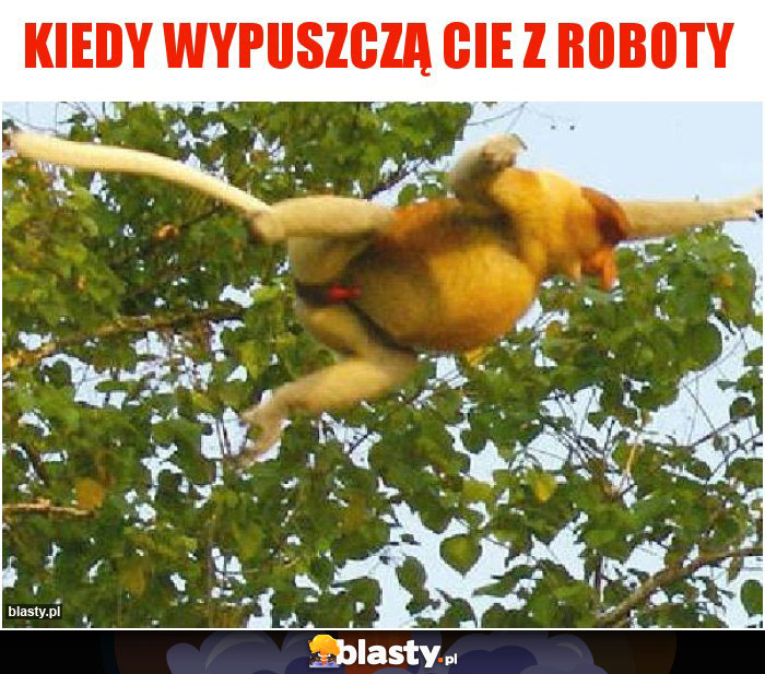 Kiedy wypuszczą cie z roboty