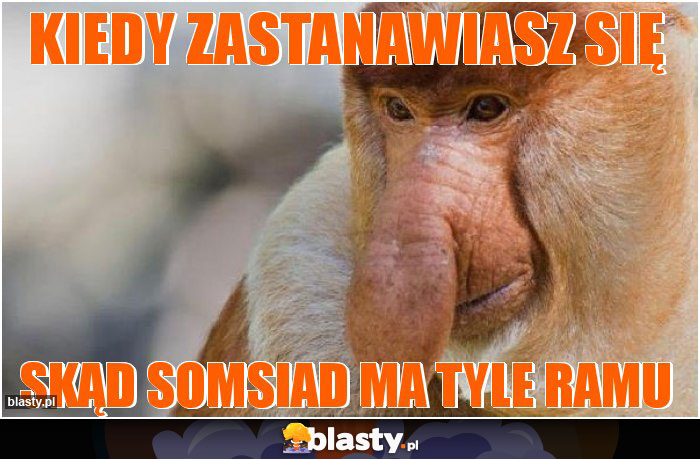 kiedy zastanawiasz się