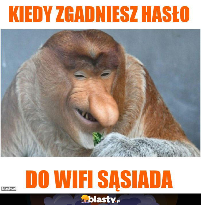 kiedy zgadniesz hasło