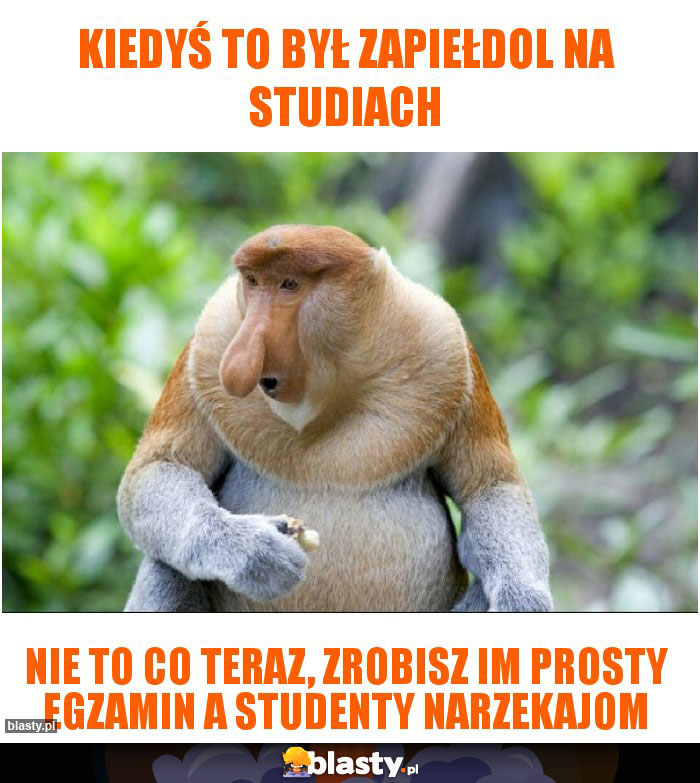 Kiedyś to był zapiełdol na studiach