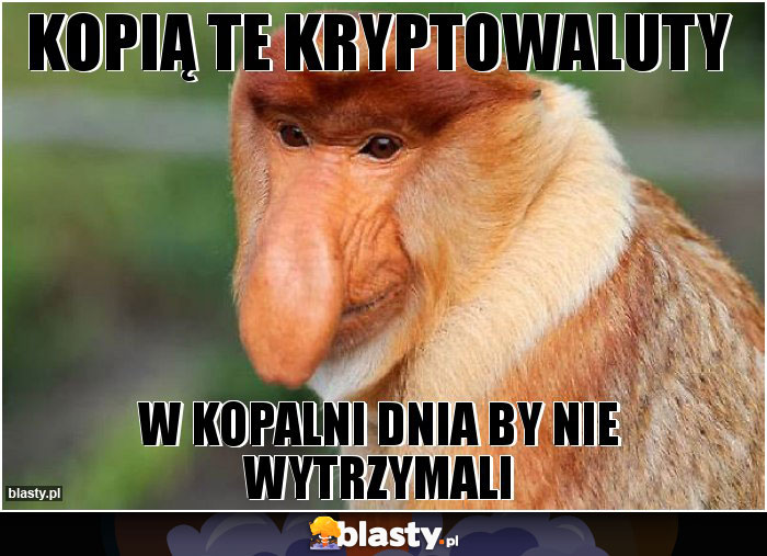 kopią te kryptowaluty