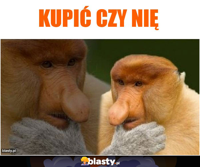 Kupić czy nię