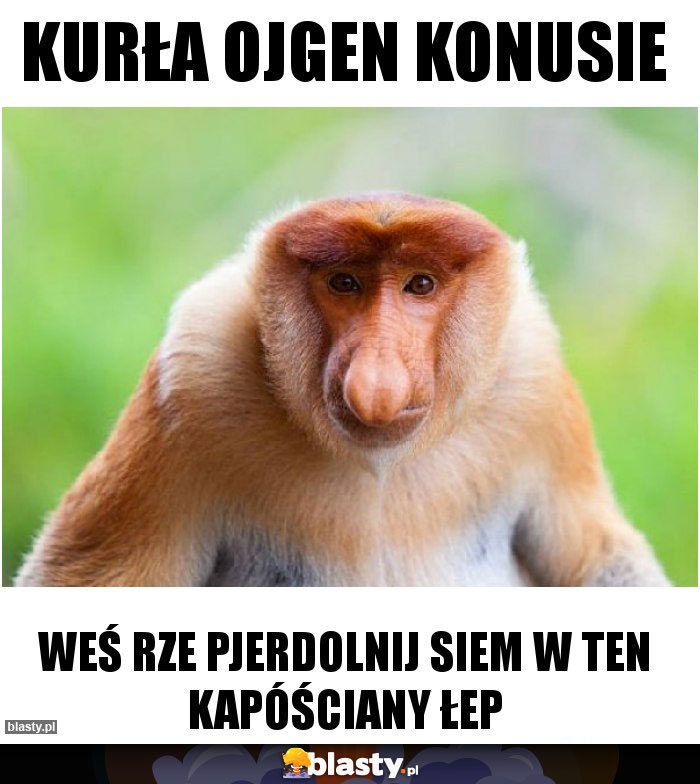 KURŁA OJGEN KONUSIE