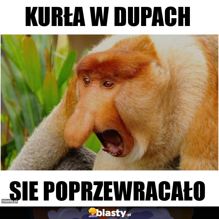 Kurła w dupach