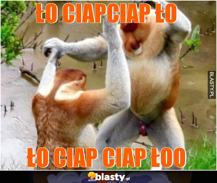 ŁO CIAPCIAP ŁO