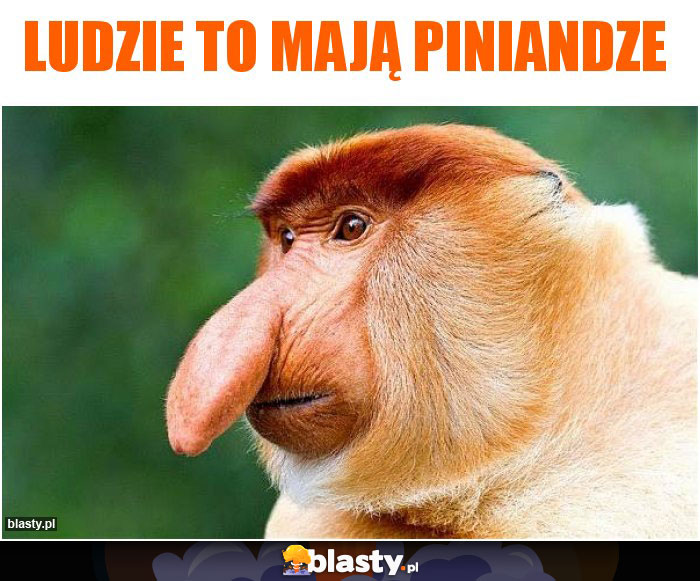 Ludzie to mają piniandze