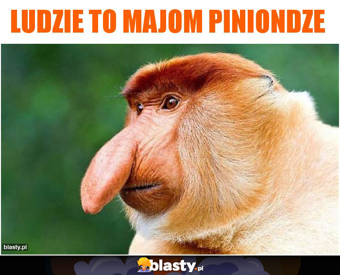 Ludzie to majom piniondze